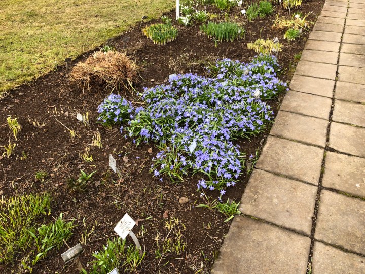 361EFE55-44C5-419F-9B05-B08228AC943E