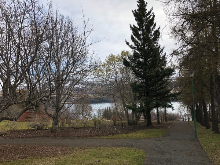 830A7BA1-F9C6-47ED-B5BD-64172C6742F5